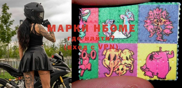 хмурый Новозыбков