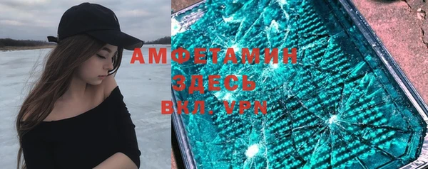 гидра Арсеньев