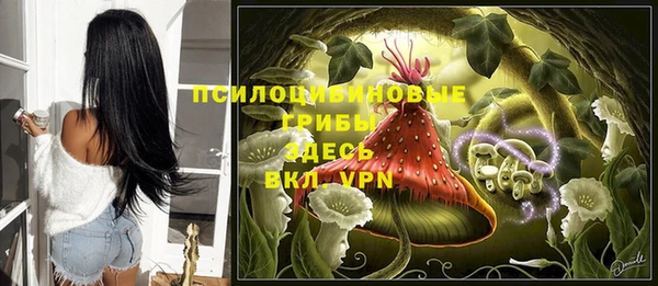 a pvp Новодвинск