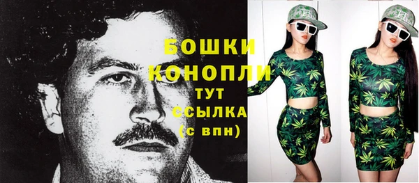 гидра Арсеньев